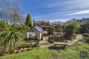 Photo 43- click for photo gallery